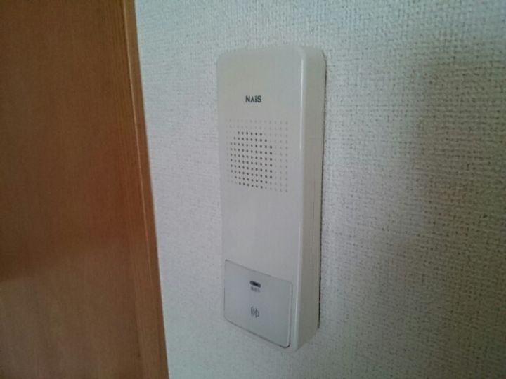 パインツリーのその他画像