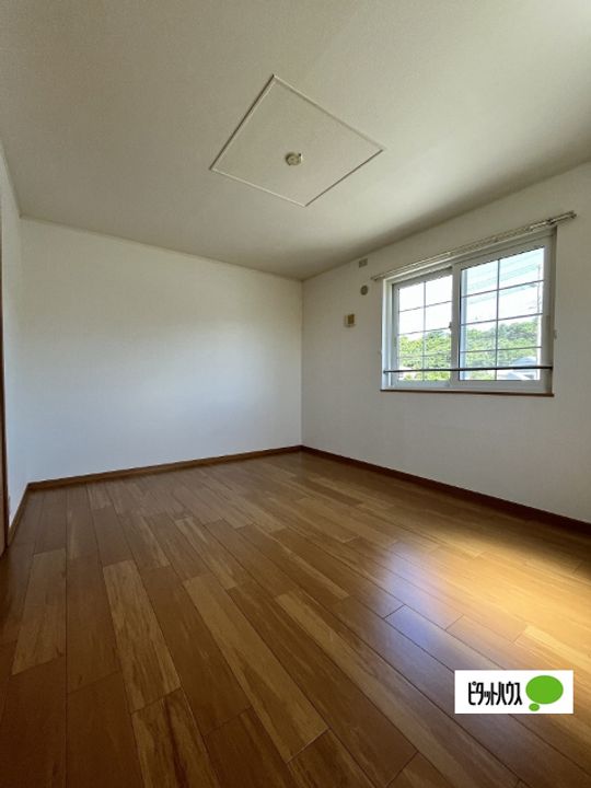 パミドーリⅡのその他画像