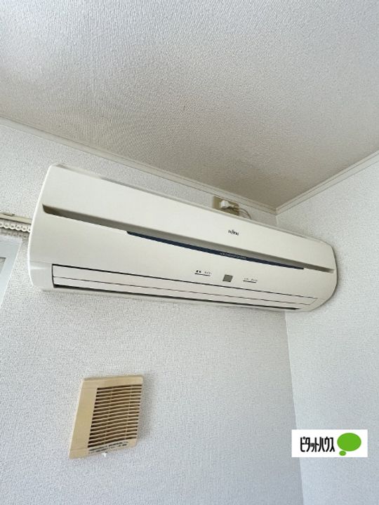 パミドーリⅡのその他画像