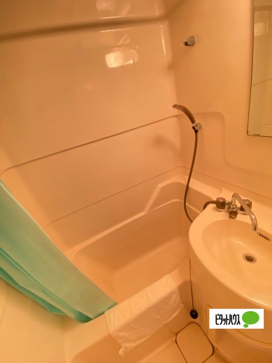 プチマンション津秦3Bの風呂