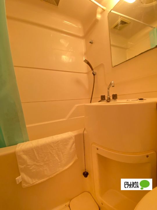 プチマンション津秦3Bの内装