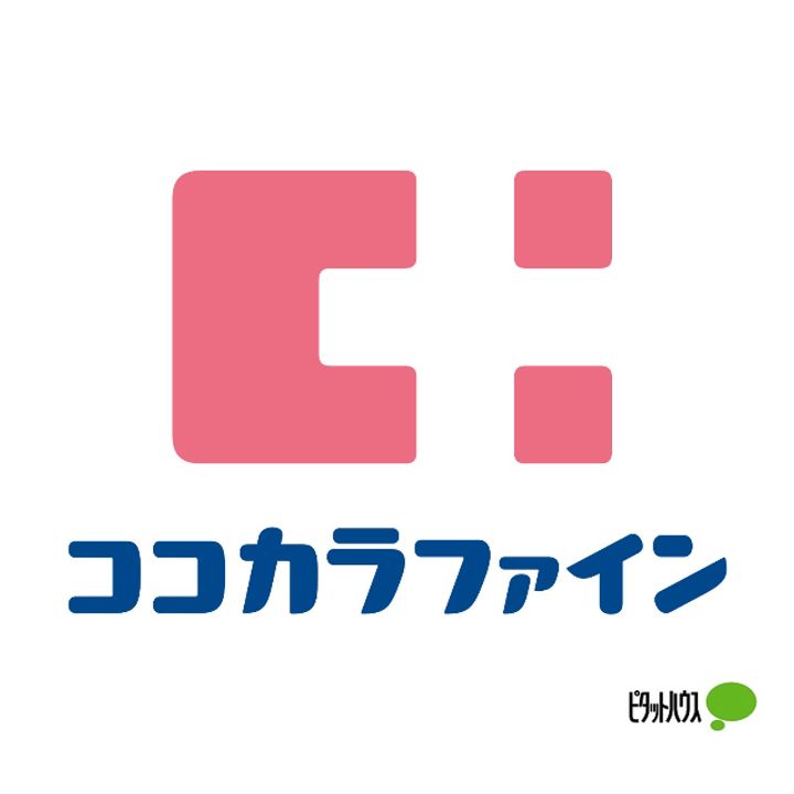 パミドーリⅡの周辺