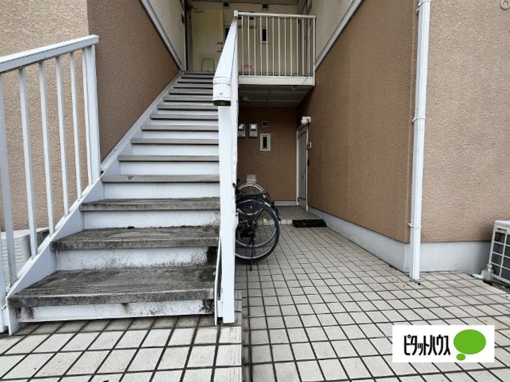 フレグランスロゼ206のその他画像