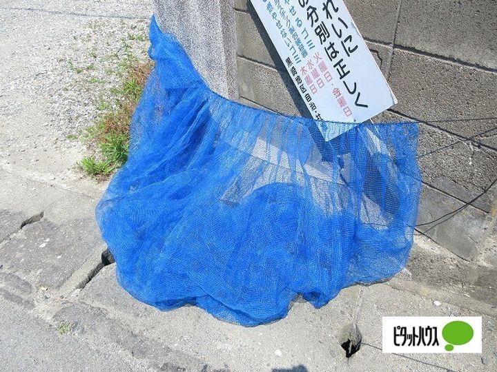 徳島県鳴門市撫養町黒崎字松島(一戸建)の賃貸物件Cのその他画像