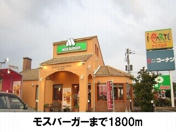トッティ Bのその他画像