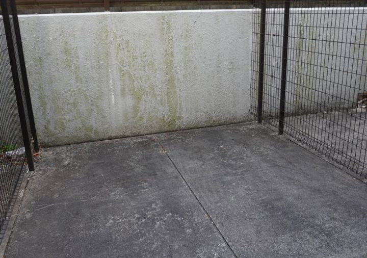 シティライフ高社のその他画像