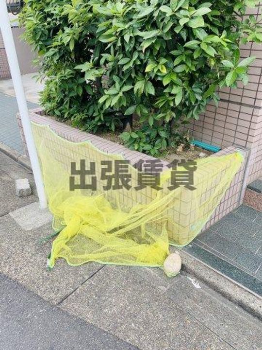 H.B.SIMIZUのその他画像