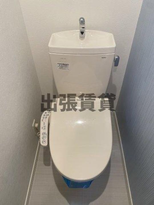 Orque D’or Kasatoriのその他画像