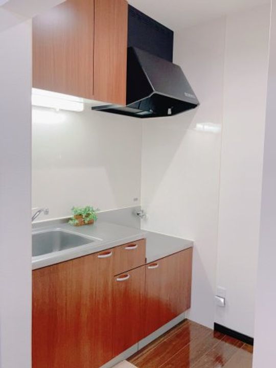 Fortuna05のキッチン