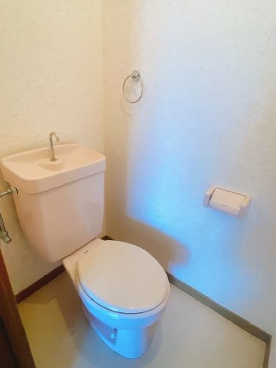 サンパティックパルのその他画像
