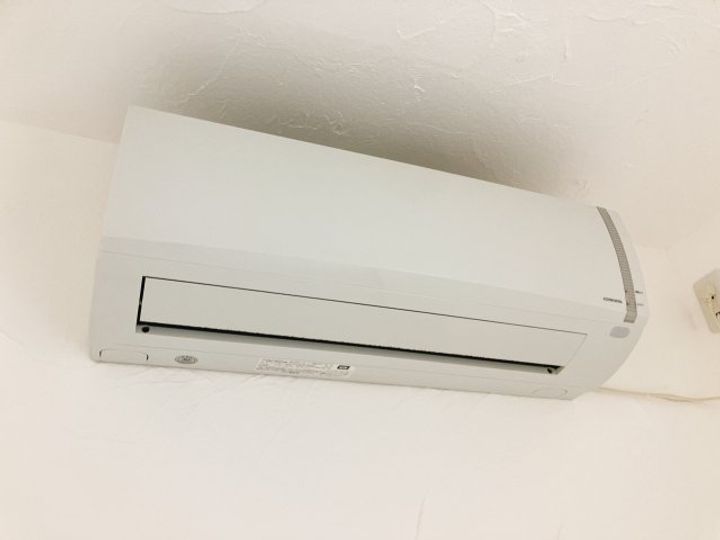 Leelaのその他画像