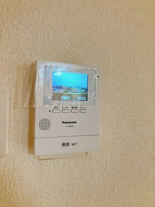 レインボーコスモスのその他画像