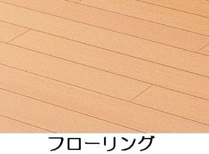 鹿児島県鹿児島市郡元2丁目(アパート)の賃貸物件の内装