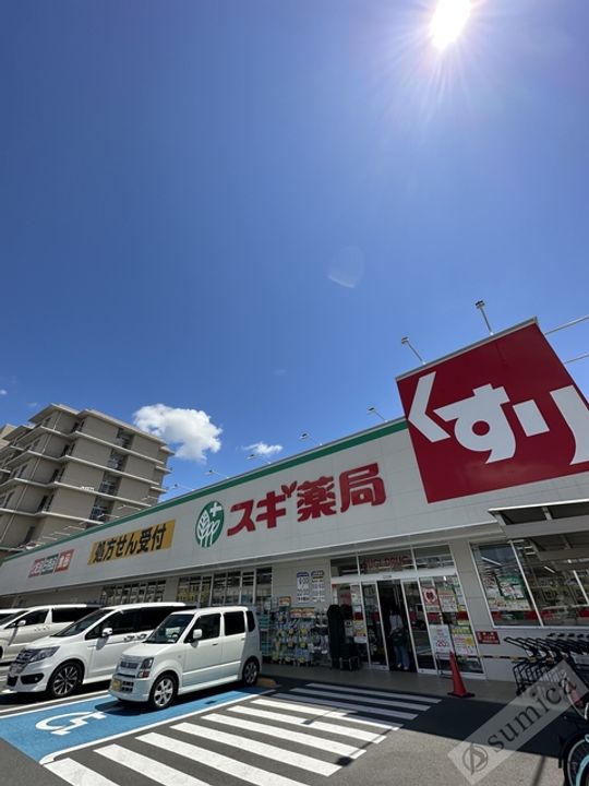 ココ シュシュの周辺