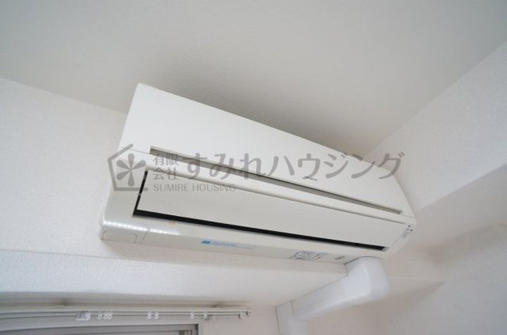 エクセランのその他画像