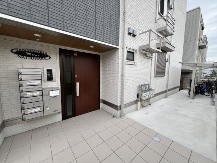 Sansevieria夏原のその他画像