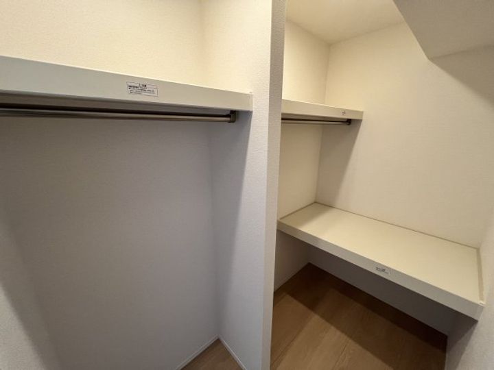 Sansevieria夏原のその他画像