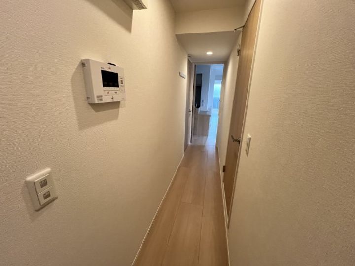 Sansevieria夏原のその他画像