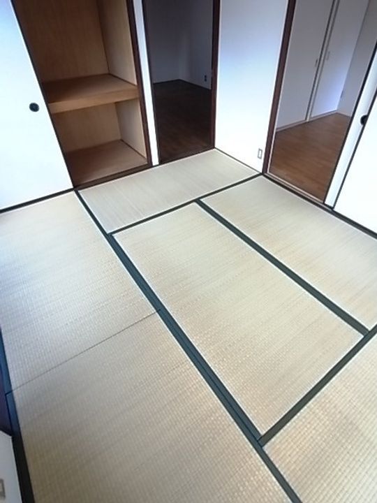 兵庫県西宮市弓場町(アパート)の賃貸物件の内装