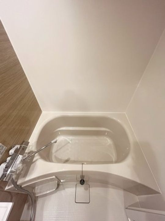 コンフォリア・リヴ本町WEST Qの風呂