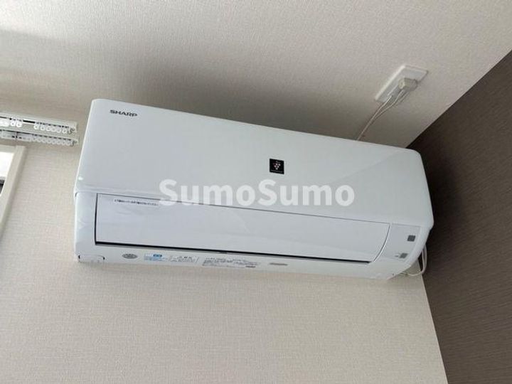 フロリバンダのその他画像