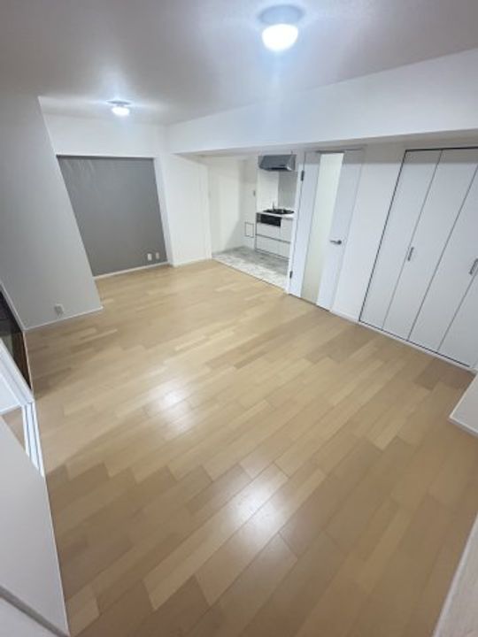 兵庫県神戸市中央区熊内町1丁目(マンション)の賃貸物件の居間