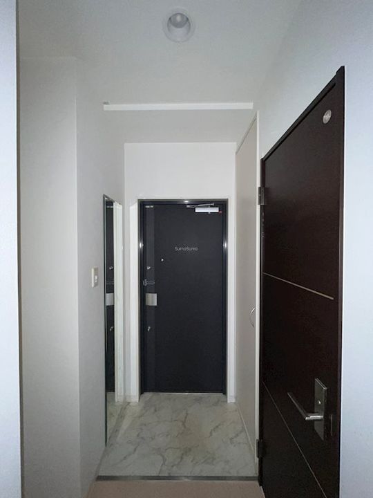 ラムール難波西の玄関