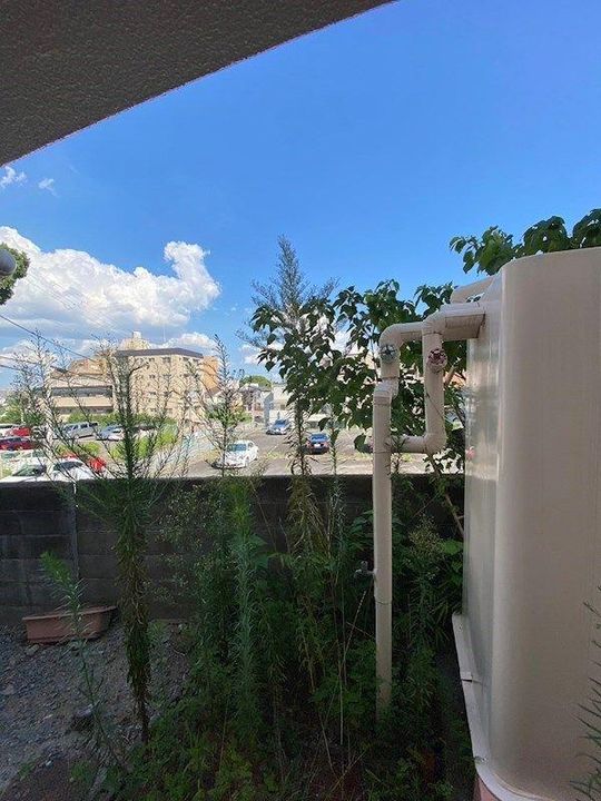 兵庫県西宮市神園町(アパート)の賃貸物件のその他画像