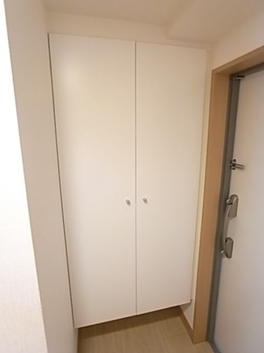 カスタリア三宮の玄関