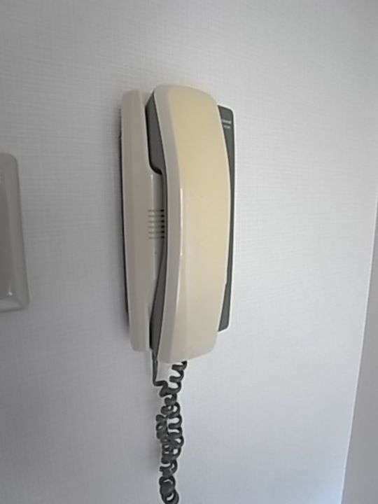 兵庫県西宮市大井手町(マンション)の賃貸物件のその他画像