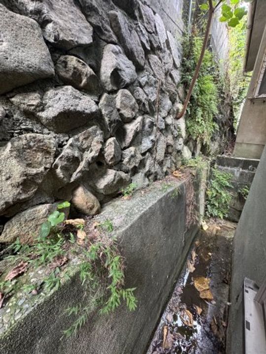 兵庫県神戸市長田区鶯町2丁目(マンション)の賃貸物件のその他画像