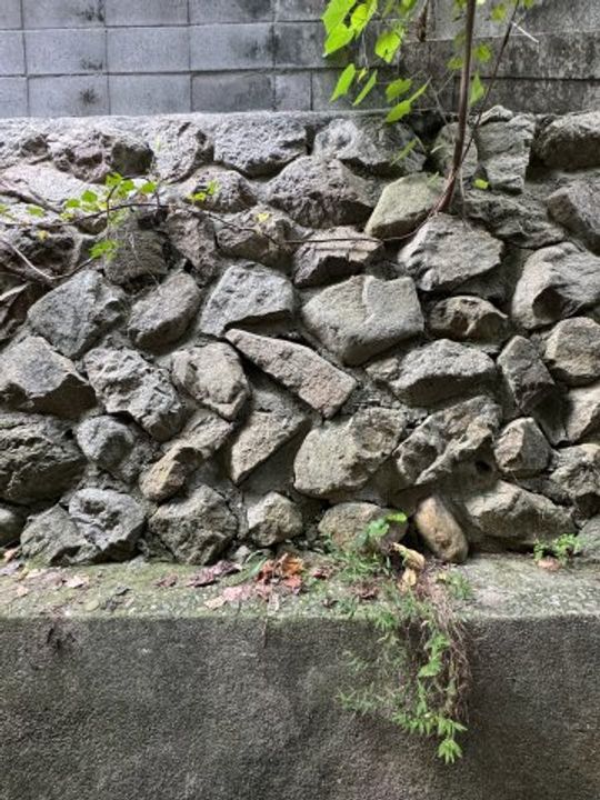 兵庫県神戸市長田区鶯町2丁目(マンション)の賃貸物件のその他画像