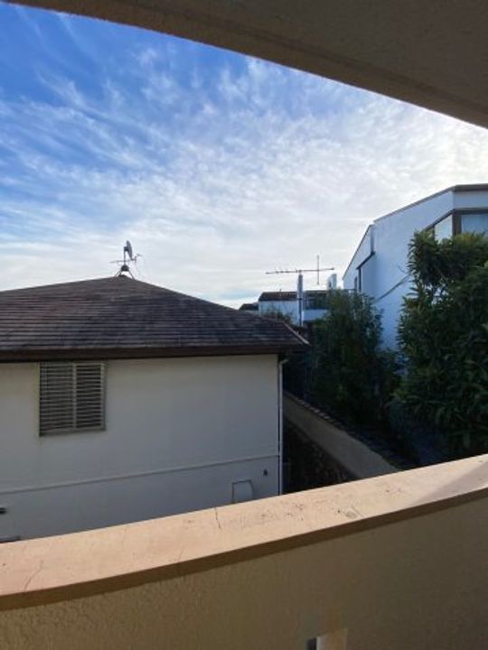 どみとりーときわのその他画像