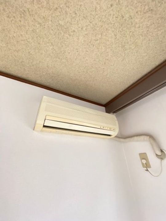 どみとりーときわのその他画像