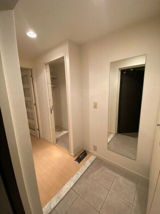 大阪府大阪市西区西本町2丁目(マンション)の賃貸物件の玄関