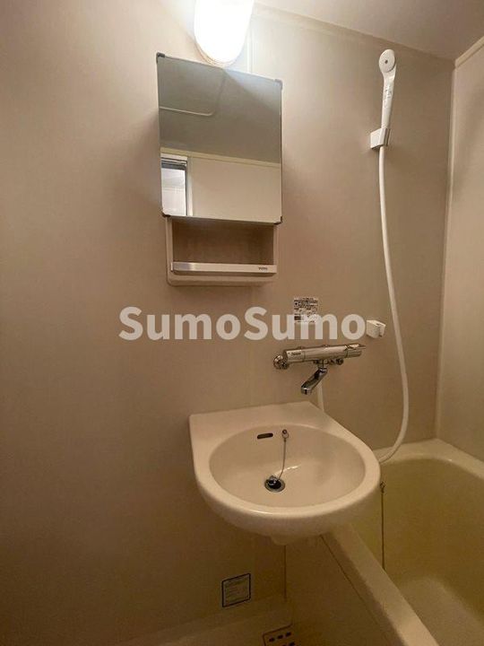 ブリュンヒルトのその他画像