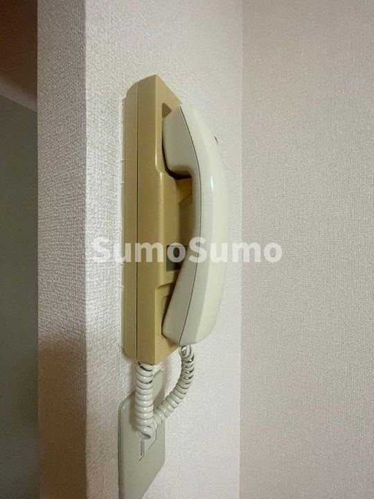 ブリュンヒルトのその他画像