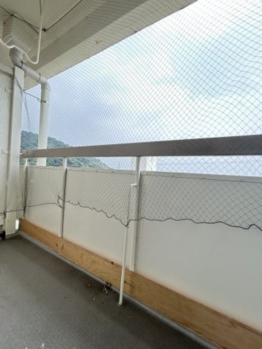 兵庫県神戸市灘区鶴甲4丁目(マンション)の賃貸物件のその他画像