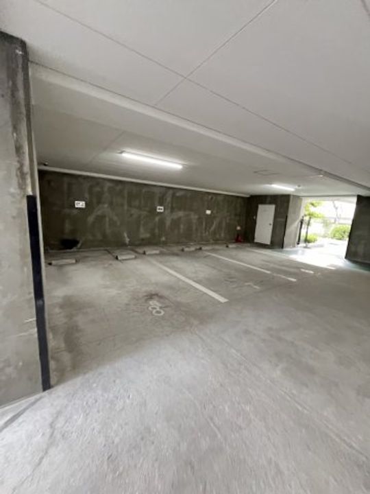 カサベラ岡本のその他画像