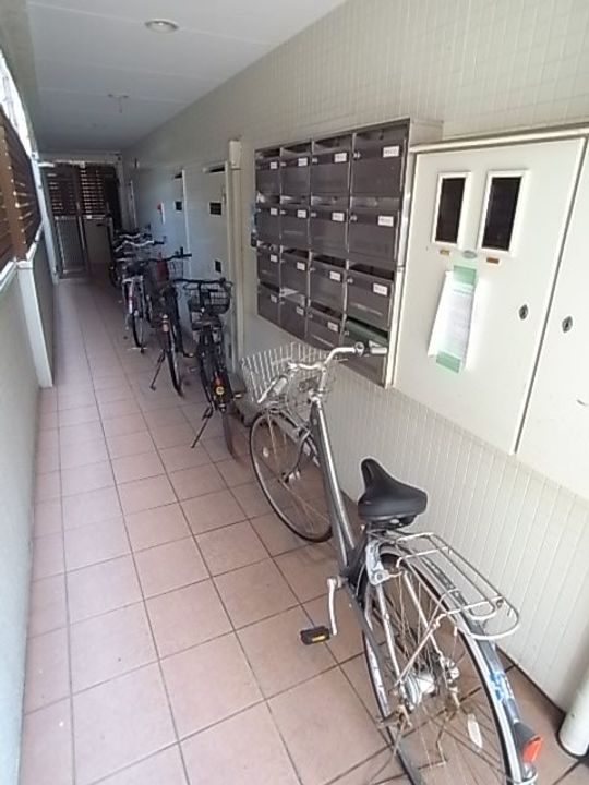 兵庫県西宮市鳴尾町3丁目(マンション)の賃貸物件の外観