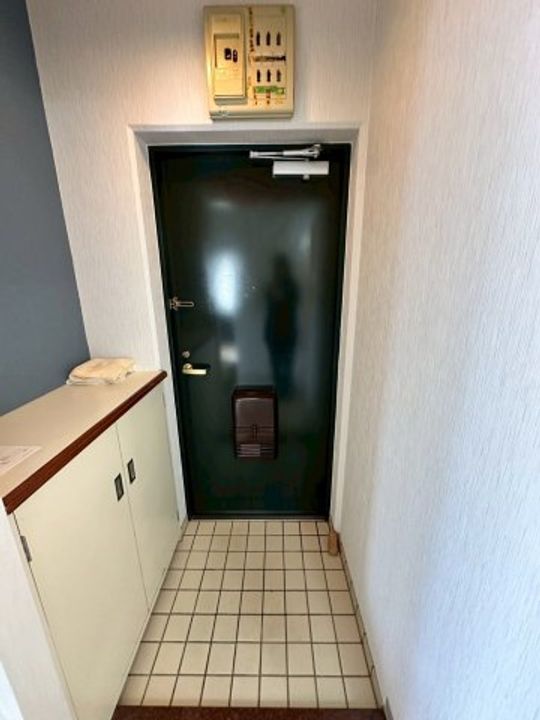 兵庫県西宮市段上町3丁目(マンション)の賃貸物件の玄関