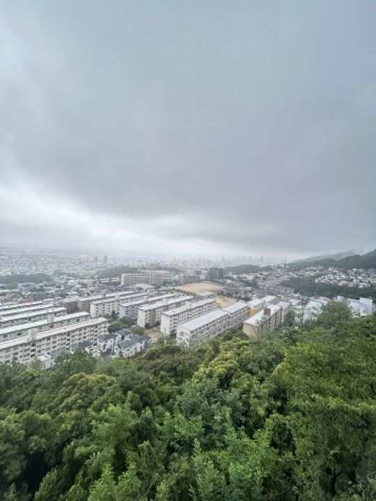 兵庫県神戸市灘区鶴甲5丁目(マンション)の賃貸物件のその他画像