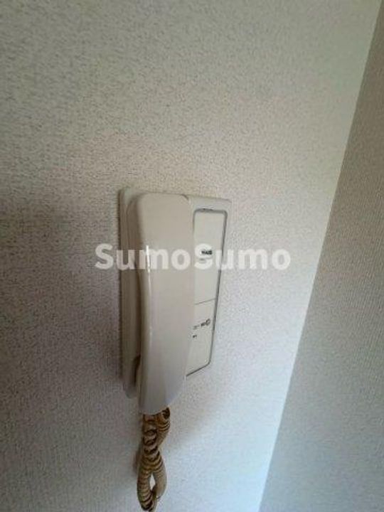 ミヤミショーレのその他画像