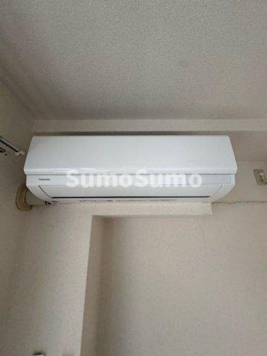 ミヤミショーレのその他画像