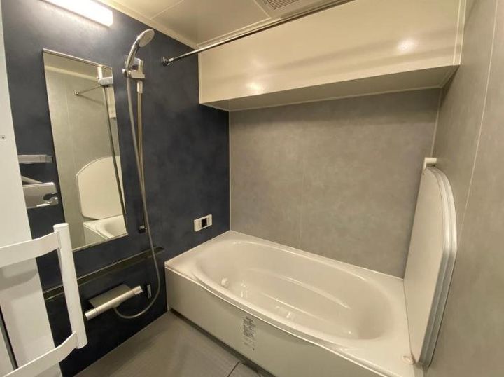 大阪府大阪市西区北堀江1丁目(マンション)の賃貸物件の風呂