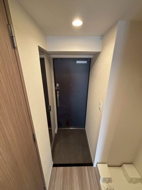 大阪府大阪市浪速区下寺3丁目(マンション)の賃貸物件の玄関