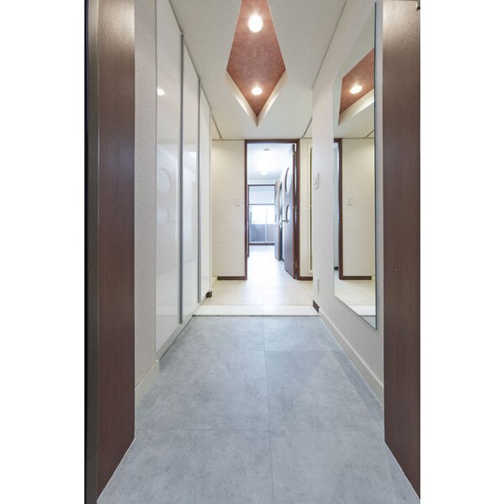 大阪府大阪市浪速区桜川4丁目(マンション)の賃貸物件の玄関