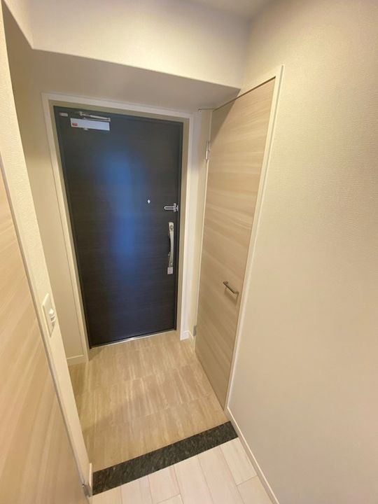 大阪府大阪市西区新町4丁目(マンション)の賃貸物件の玄関