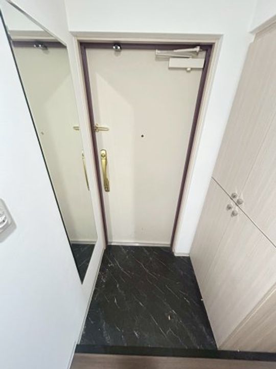 大阪府大阪市中央区本町橋(マンション)の賃貸物件の玄関