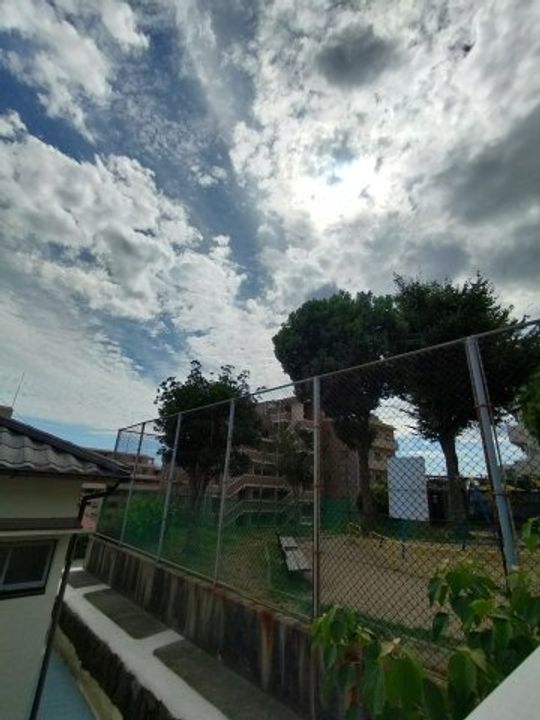 兵庫県神戸市中央区中島通3丁目(アパート)の賃貸物件のその他画像